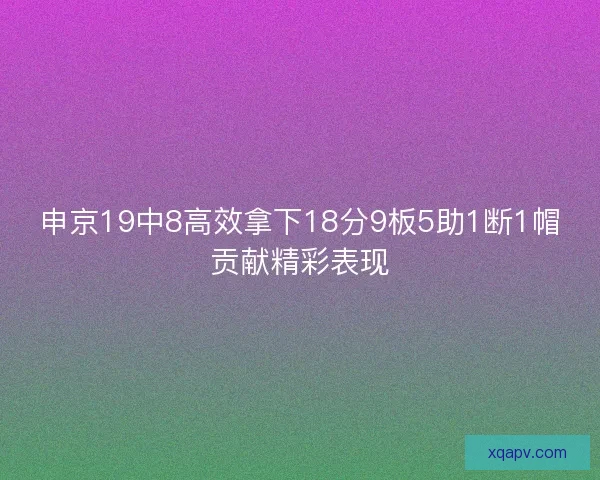 申京19中8高效拿下18分9板5助1断1帽贡献精彩表现