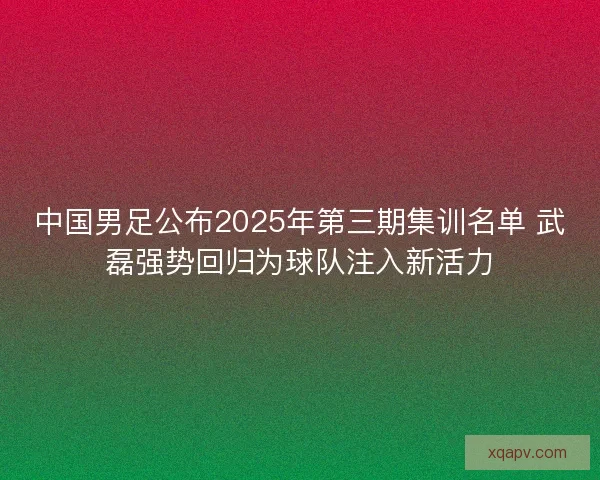 中国男足公布2025年第三期集训名单 武磊强势回归为球队注入新活力